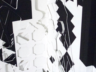 Carien Vugts, a shadowRechtsDetail