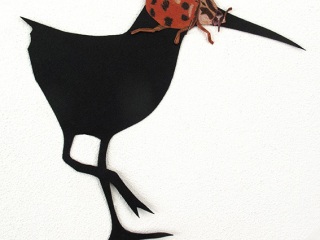 1_Coccinellidae-totanus-Carien-Vugts