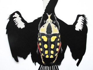 Phalacrocorax carbo-Carien-Vugts