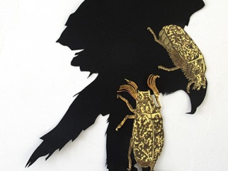 Aquila-melolontha-Carien-Vugts