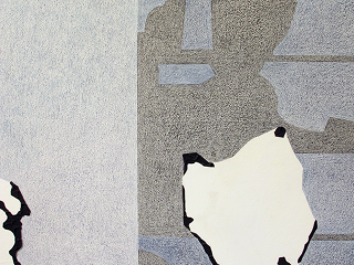 Carien Vugts, DetailopnameKast