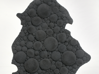 Carien Vugts, SubUpDet3