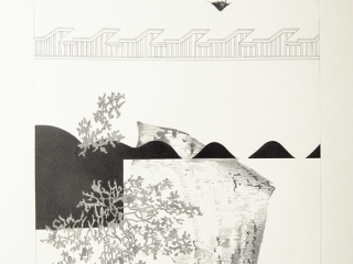 Carien Vugts, UFOTest