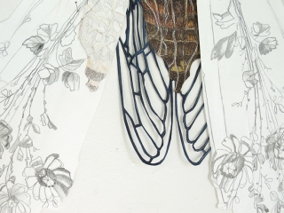 Carien-Vugts_Cicade_detail2