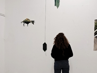 Carien-Vugts_Je-vraagt-naar-het-verhaal