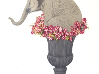 Carien-Vugts_Olifant