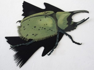 Dynastes-hercules-caeruleus-Carien-Vugts