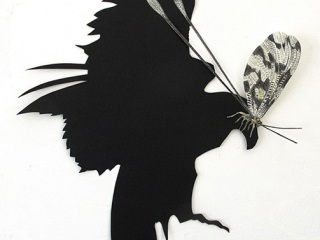 Aquila-chrysaetos-Carien-Vugts