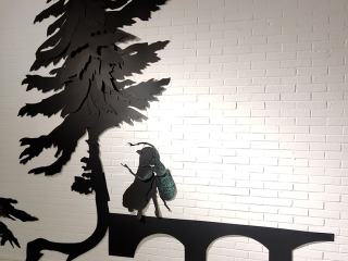 In-tussen-tijd4-Carien-Vugts