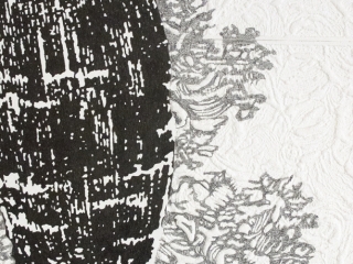 landschapbladdetailCarien Vugts, kunstenaar, werk-in-situ, tekeningen, wandobjecten, recent works, drawings, objects, work in situ, installaties, site specific art