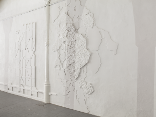 a-shadow-in-the-sky-a-different-Muse-side-view-Carien-Vugts-